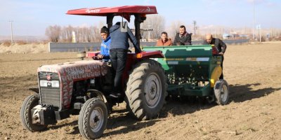Afyonkarahisar, Türkiye'nin tıbbi papatya üretim üssü olacak