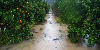 Antalya'da metrekareye 173 kilo yağmur, hızı 122 kilometreye ulaşan fırtına (3)