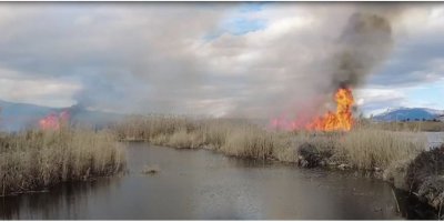 Gölhisar Gölü'nde sazlık alan yandı