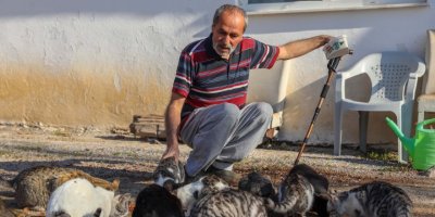 Bulduğu kör kediye baktı, mahalledeki kedilerin 'dedesi' oldu