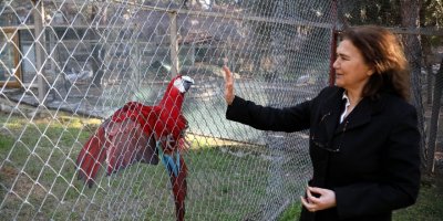 Kurtarılan yaban hayvanları, hayvanat bahçesinde güven içinde yaşıyor