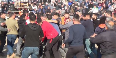 Develer güreşirken sahipleri kavga etti