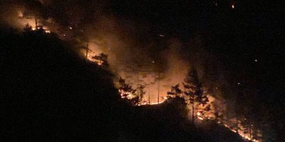 Antalya'da orman yangını (2)