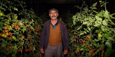 Konyaaltı Belediesi'nden sera üreticilerine ücretsiz yakıt desteği