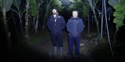 Muz üreticilerinin soğuk hava nöbeti