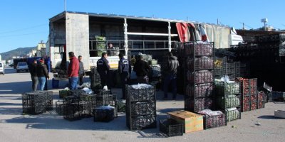 Kumluca'dan afet bölgesine 100 ton sebze