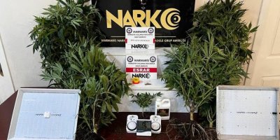 Muğla'da 'uyuşturucu' operasyonu: 1 gözaltı