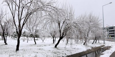 Afyonkarahisar'da kar yağışı