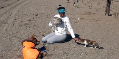 Depremzede kedi 'Anka'nın kader arkadaşı, afetzede köpek 'Deka'