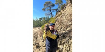 Jandarmanın bulduğu yaralı şahin korumaya alındı