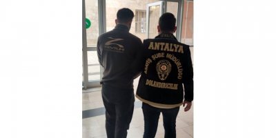 'Sazan sarmalı'yla dolandırıcılık