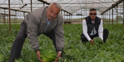 Serikli üretici karpuz hasadına hazırlanıyor