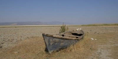 20 sulak alan, yok olma tehlikesiyle karşı karşıya