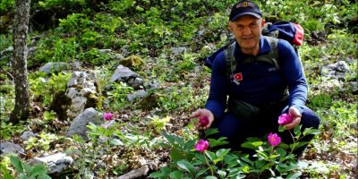 Eğirdir'de şakayıklar açtı