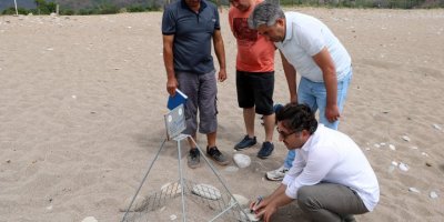 Deniz kaplumbağalarının yuva yaptığı Çıralı'ya akşamdan sabaha giriş yasağı