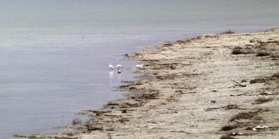 Gölden 20 metre uzaklaşan iskeleye 'Göl yoksa Burdur yok' yazılı çelenk koydular