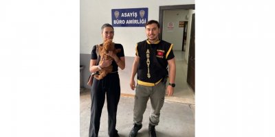 Turistin kaybettiği köpeği bulan polisler, para ödülünü kabul etmedi