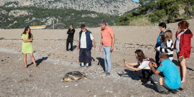 Deniz kaplumbağasının gündüz yuva çalışması için önlem aldılar