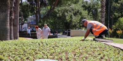 Antalya caddelerine 300 bin çiçek dikildi