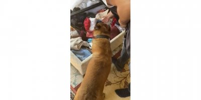 Muğla ve Aydın'da uyuşturucuya 4 tutuklama