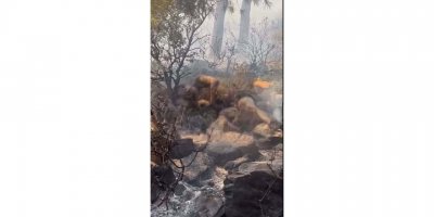 Marmaris'te orman yangını; ceset ateşe verilmiş (4)