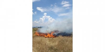 İtfaiye müdüründen ot yangını uyarısı