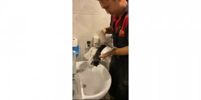 Tuvaletin gider borusuna sıkışan kedi görüntüleme cihazıyla kurtarıldı