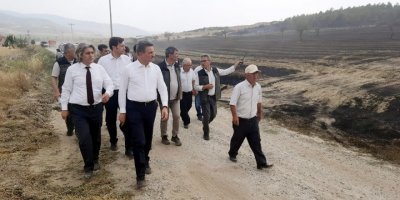 Isparta'da anız yangınında alevler ormana sıçradı