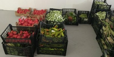 Bodrum'da Gıda Bankacılığı çalışmaları sürüyor