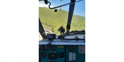 Bodrum'da orman yangını (2)