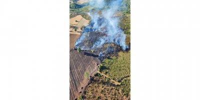 Bucak'ta orman yangını