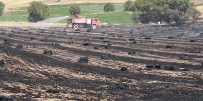 Yangında 500 dönüm arazi zarar gördü