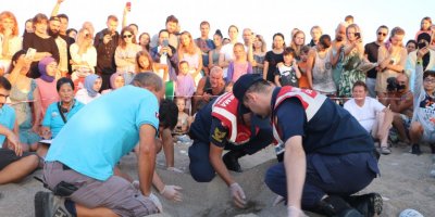 Çıralı'da caretta caretta turizmi