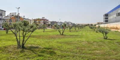 Altınova'ya 12 bin metrekarelik yeşil vadi