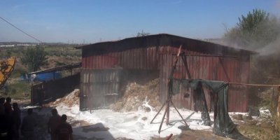 Ahırdaki 2 bin balya saman yandı