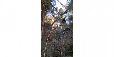 Afyonkarahisar'da otel bahçesine iniş yapmak isteyen helikopter kırım geçirdi