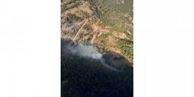 Muğla'da orman yangınında 1 hektar alan zarar gördü