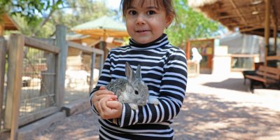 Antalya Doğal Yaşam Parkı 4 Ekim'de ücretsiz