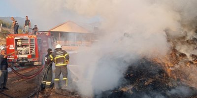 2 bin saman balyası yandı