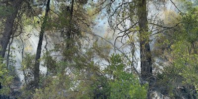 Alanya'da orman yangını söndürüldü