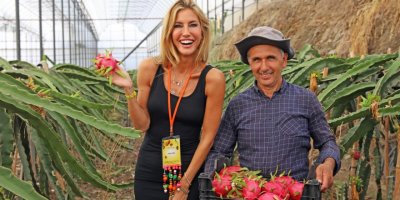 Çağla Şıkel tropikal meyve hasadı yaptı