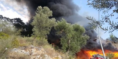 Muğla'da bungalovda çıkan yangın, ormana da sıçradı