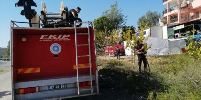 Gazipaşa'da bahçe yangını