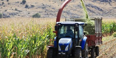 Korkuteli Taşkesiği Mahallesi'nde mısır hasadı yapıldı