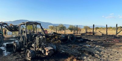 Samanlıktaki yangında çoban köpeğiyle yavruları yandı