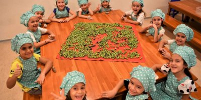 Minik eller, parkta yetişen zeytinleri işledi