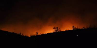 Yunanistan'ın başkenti Atina yakınlarında çıkan orman yangını nedeniyle binlerce kişi tahliye edildi