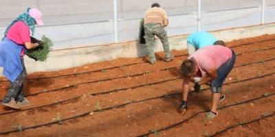 Ülke tarımına önemli katkı
