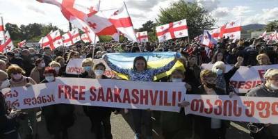 Saakaşvili'ye destek gösterisi