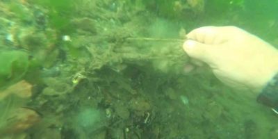 Bekar Deresi’nde buz dağının görünmeyen kısmı: su altı kirliliği